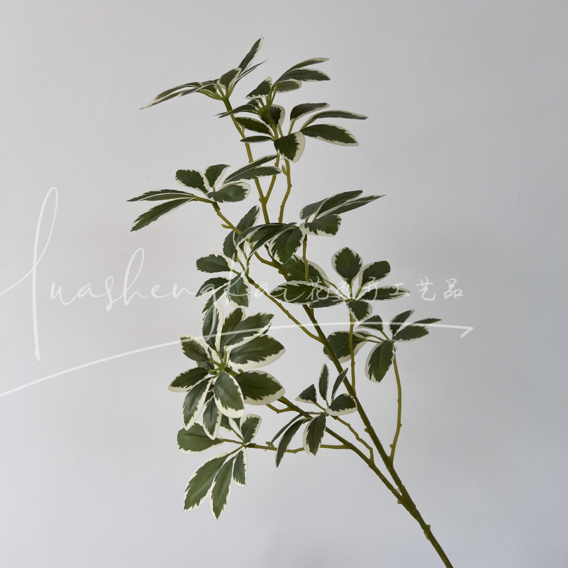 Madera de pie de pato con borde dorado