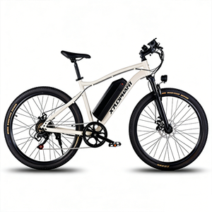 Vélo de montagne électrique Sport Disc 7 vitesses Moteur à moyeu arrière 36V 350W Moteur sans balais Fourche à double suspension 40 km/h Batterie au lithium - Product Image 1