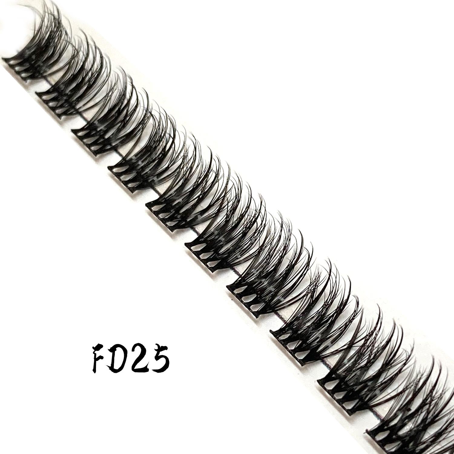 esponjoso FD25