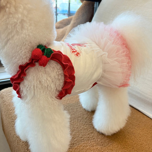 Pizzo cane abito da sposa gatto gonna da sposa cucciolo con paillettes ricamo fiore matrimonio cane vestiti estate gatto floreale principessa abito - Product Image 1