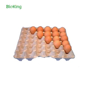 Khay đựng trứng giấy tái chế BioKing chất lượng cao 12 20 30 lỗ, thân thiện với môi trường, giá rẻ, số lượng lớn, dùng để đóng gói trứng gà - Product Image 1