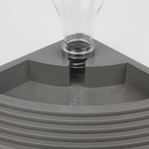 สัตว์เลื้อยคลาน เต่า กระจอก กิ้งก่า สิงโต อีกูยาน่าสีเขียว - Product Image 3