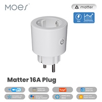 Tuya Smart Matter Plug Prise WiFi 16A Prise de courant Moniteur de puissance Prise en charge de la télécommande AppleHome Google Home Alexa Smartthings