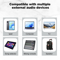   Penguat Daya Audio Echo Bass Treble USB SD FM Perekam Kontrol Mikrofon Speaker Karaoke Rumah Buatan Pabrik Sendiri