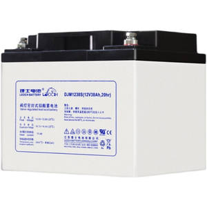 LEOCHバッテリー DJMシリーズ <span class=keywords><strong>12V</strong></span> 38AH DJM1238S 火災非常用UPS電源 DCスクリーン専用EPSバッテリー - Product Image 3
