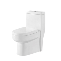 Meilleures ventes à prix abordable : Ensemble de cuvettes de toilettes en céramique avec siphon en S, économie d'eau, pour salle de bain