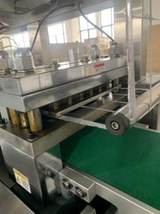 Macchina per Confezionamento Blister DPP260 per Uova <span class=keywords><strong>di</strong></span> Cioccolato Giocattolo, Elettrica Automatica con Pompa dell'<span class=keywords><strong>Acqua</strong></span> in Alluminio - Product Image 6