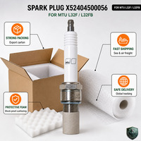 Bougie d'allumage MTU X52404500056 à chambre préalable en platine pour moteur à gaz série 4000, pour groupe électrogène au biogaz, vente en gros
