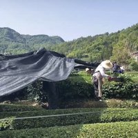 Filet d'ombrage pour toit, couverture de protection pour plantes de jardin, filet d'ombrage pour serre à fleurs, filet d'ombrage agricole pour serre avec un taux d'ombrage minimum de 40%