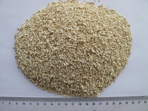 Precio más barato Gránulo de rábano picante deshidratado Wasabi Polvo Rábano picante seco - Product Image 3