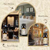 Parfums d'hôtel BY, ensemble d'huiles essentielles de 10 ml, 6 senteurs, diffuseur d'arômes, parfum pour la salle d'entrée, qualité supérieure, approvisionnement OEM
