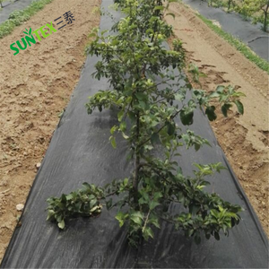 Toile de <span class=keywords><strong>paillage</strong></span> noire en polyéthylène stabilisée aux UV pour l'agriculture et l'aménagement paysager, barrière anti-mauvaises herbes pour le jardinage - Product Image 5