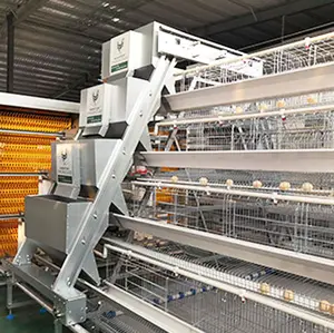 Chinese factory direct supply hot dip galvanized chicken layer cage for sale