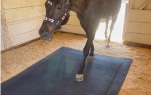 Tapis <span class=keywords><strong>de</strong></span> box <span class=keywords><strong>pour</strong></span> chevaux en caoutchouc durable, <span class=keywords><strong>matelas</strong></span> équin, mousse souple, revêtement <span class=keywords><strong>de</strong></span> <span class=keywords><strong>sol</strong></span> imperméable, <span class=keywords><strong>matelas</strong></span> <span class=keywords><strong>pour</strong></span> chevaux - Product Image 6