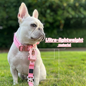 कस्टम हल्का एल्यूमीनियम धातु बकल कुत्ते कॉलर बड़े समायोज्य नायलॉन भारी शुल्क सामरिक प्रशिक्षण कुत्ते कॉलर - Product Image 3