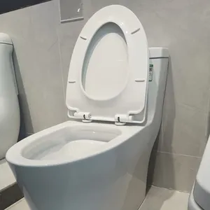 American Standard Bathroom Economic Toilet Bowl Brand Floor Mounted 1 Piece Toilet Model