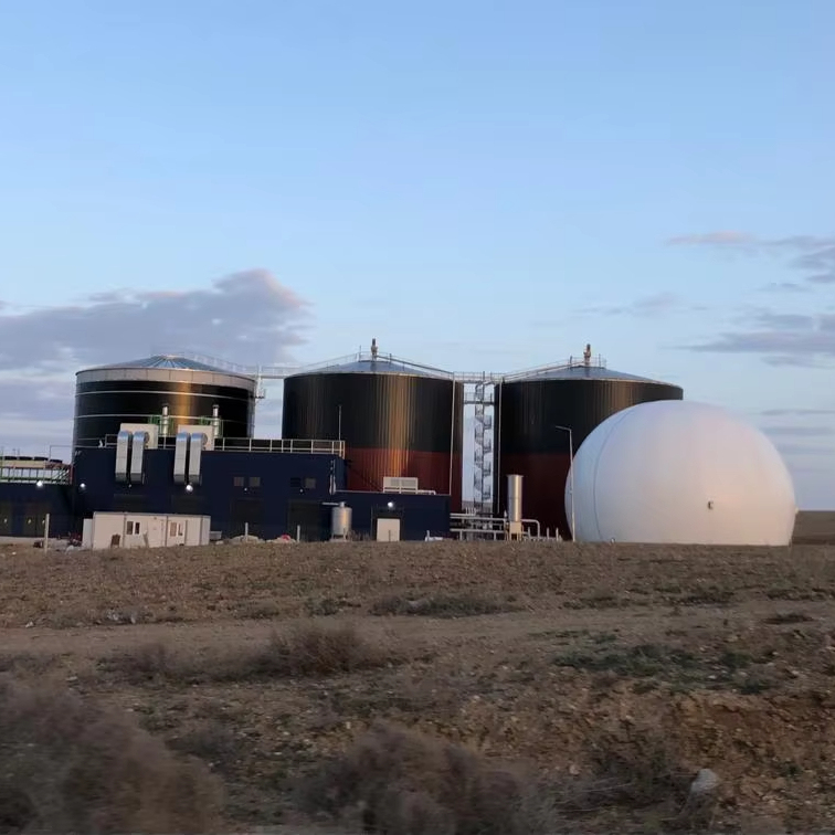 Large Scale 10000m3 Automatic Anaerobic Biogas
