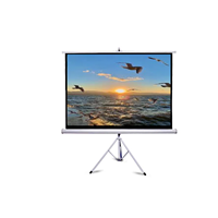 Écran de projection sur trépied Telon, écran de projection blanc mat en fibre de verre, 50'~150'', portable, pour usage scolaire