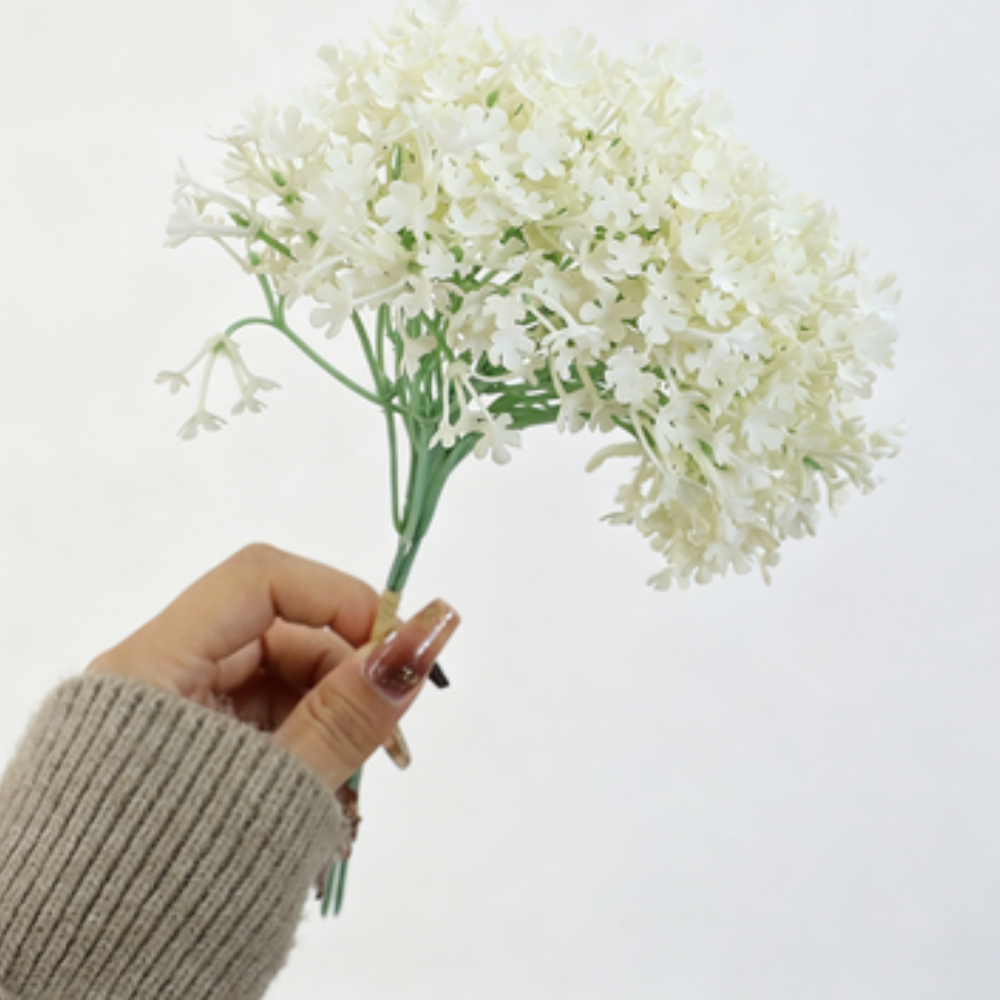 Blanc