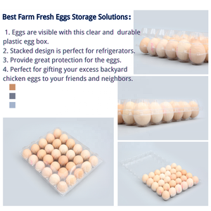 กล่องใส่ไข่พลาสติกแบบใส PET สำหรับขายส่ง กล่องไข่แบบกำหนดเอง กล่องไข่แบบใช้แล้วทิ้ง ถาดใส่ไข่พลาสติก 8 12 15 16 30 ช่อง - Product Image 5