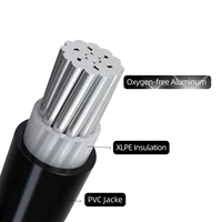 70mm 95mm 120mm 150mm 185mm 240mm Einadriges 0,6/1kV Aluminium-Leiterkabel, mehradrig, XLPE-isoliert, YJLV, unarmiertes Stromkabel