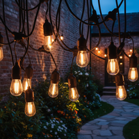 Guirlandes lumineuses LED étanches pour extérieur, mariage, cour, avec ampoules S14, Moult MOERTE-s14dc
