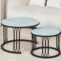 Table d'appoint moderne et durable en bois avec structure métallique pour salon et usage domestique