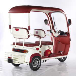 Vente chaude Adultes Utilitaire Motos Utv Véhicule Triciclo Eléctrico avec Vélo De Toit Ouvert Ebike Electrica Triciclo Eléctrico - Product Image 3