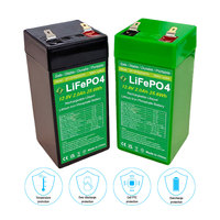 Baterai LiFePO4 Premium 12V 2Ah 25.6Wh dengan BMS Terintegrasi, Baterai Lithium Isi Ulang untuk Perangkat Medis & Sistem Keamanan CE UKCA