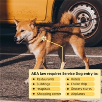 Plaques d'identification personnalisées sur mesure en acier inoxydable doré de grande taille pour chiens et chats, avec gravure pour animaux de compagnie (soutien émotionnel)