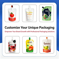 Sachet Doypack Souple à Bec Angulaire Personnalisé en Usine avec Impression Gravure, Emballage Liquide, OEM ODM, Sac PET/PE Qualité Alimentaire Personnalisé