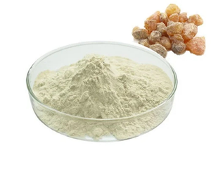 Extracto Seco de Boswellia, Grado UE, Polvo de Resina Botánica Herbal, Ingrediente Natural de Extracto de Planta para Productos de Suplementos Alimenticios - Product Image 3