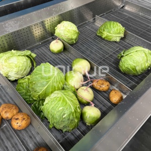 Burbujas Multifuncionales para Frutas, Raíces y Verduras de Hoja, Burbujas de Maracuyá y Cúrcuma - Product Image 5