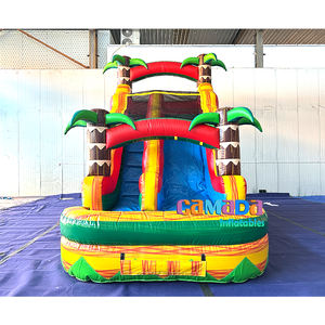Tobogán Acuático Inflable Gigante de PVC Resistente para Exteriores, Comercial, con <span class=keywords><strong>Piscina</strong></span> <span class=keywords><strong>Desmontable</strong></span> para Jardín, a Precio Económico - Product Image 5