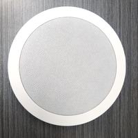 Haut-parleur de plafond suspendu, enceinte passive encastrée, design dissimulé, pour chambre, cinéma, restaurant, musique