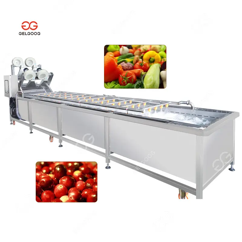 Ligne de production de lavage de légumes déchiquetés Machine de lavage et de dessiccateur d'eau chaude de fruit de convoyeur