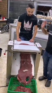 Viande fraîche ombre mince faire de l'équipement couper des tranches commerciales fabrication de poulet transformation couper des tranches Machine pour chien bœuf séché - Product Image 2