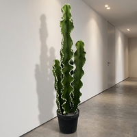 Grandes plantes de cactus artificielles réalistes, écologiques et durables avec pot décoratif pour la décoration intérieure, les mariages et Noël