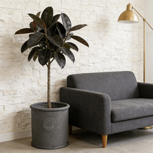 Ensemble de pots à fleurs en céramique de style américain, design à fleurs en relief, trou de drainage, écologique, durable, pour l'intérieur/l'extérieur - Product Image 1