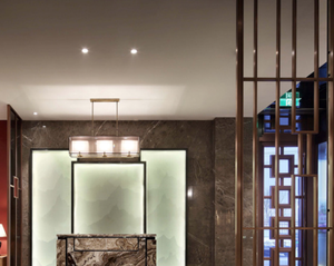 Mở Lỗ Có Thể Điều Chỉnh Vòng/Quảng <span class=keywords><strong>LED</strong></span> Bảng Điều Chỉnh Ánh Sáng 6W 8W 15W 20W Alu Lõm Tròn Vuông Phẳng Downlight <span class=keywords><strong>Led</strong></span> Trần Bảng Điều Chỉnh Ánh Sáng - Product Image 6