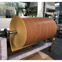 Melamin-Imprägniertes Dekorationspapier für Möbel MDF HPL