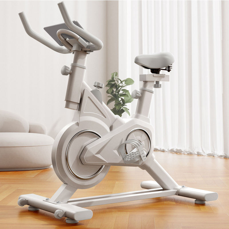 Fitness Spinning Bike Wood Style Spinning Bike D500C Indoor
