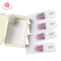 Plasmodium Vivax Microscope Slides Medical Science Parasitology Prepared Slides Microscope Prepared Slides