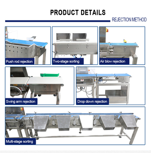 Báscula automática de cinta transportadora para alimentos con sistema de rechazo, báscula de control de peso combinada con cinta transportadora para alimentos - Product Image 6