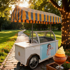 Carrito de Comida Móvil de Alta Gama para Exteriores 2025, Remolque de Comida, Carrito de Helados con Congelador - Product Image 6