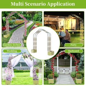 Arche minimaliste moderne en gros, structure de jardin en métal noir élégant pour aménagement paysager contemporain, entrepôt aux États-Unis - Product Image 3