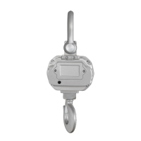 Fabricant d'usine en Chine balance suspendue robuste 3t 5t 10t