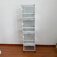 Cage à oiseaux moderne classique 2025 en acier inoxydable et verre avec motif solide et design respirant pour oiseaux de petite à moyenne taille