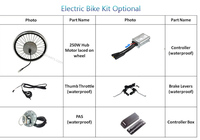 24V 36V 48V 200w- 250w Roue avant 80mm 75mm Dropout Gear Ebike Hub Motor pour 16 20 Inch E Vélo électrique Kit de conversion de vélo