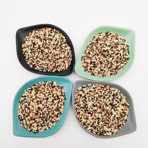 Alta qualità Premium tricolore e <span class=keywords><strong>QUINOA</strong></span> bianca vendita diretta della fabbrica miglior prezzo vendita calda all'ingrosso - Product Image 6